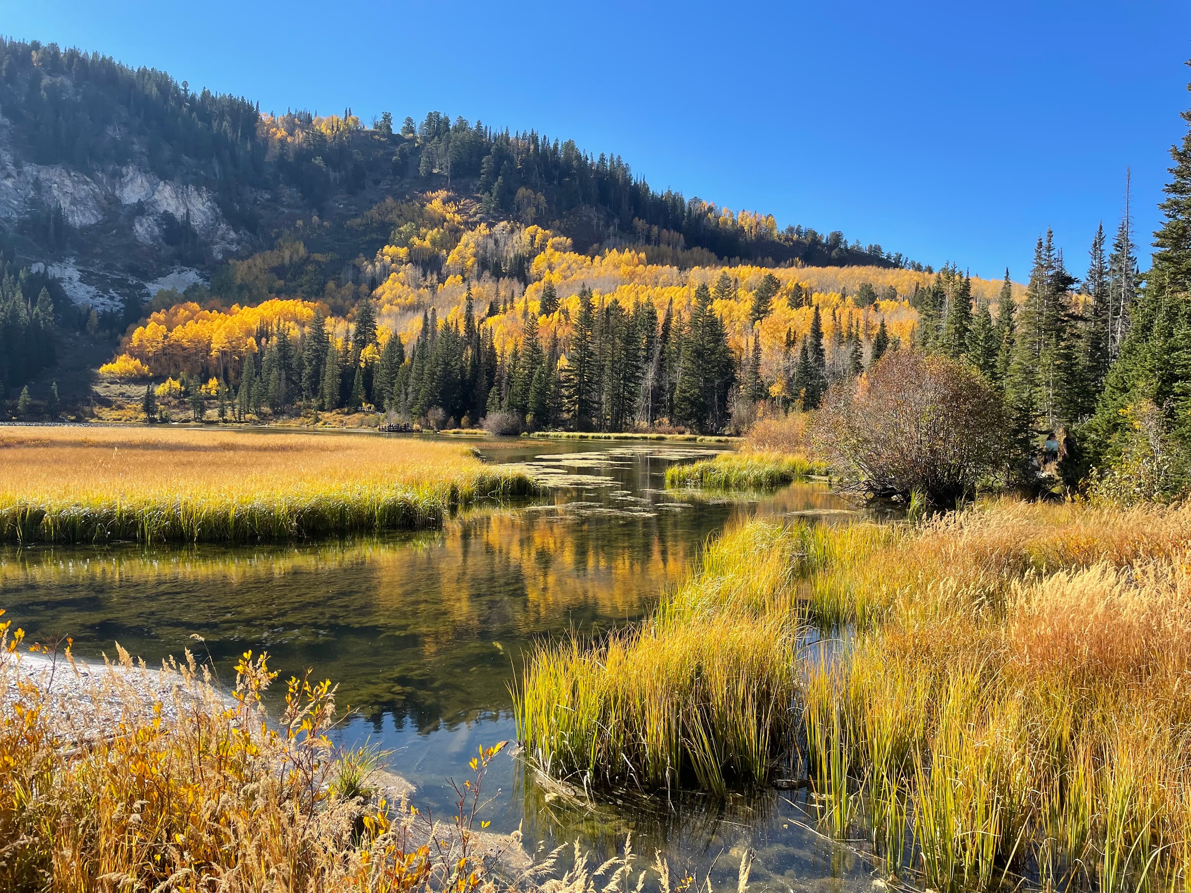 Trump Administration Pushes to Expand Hunting Access on Federal Lands